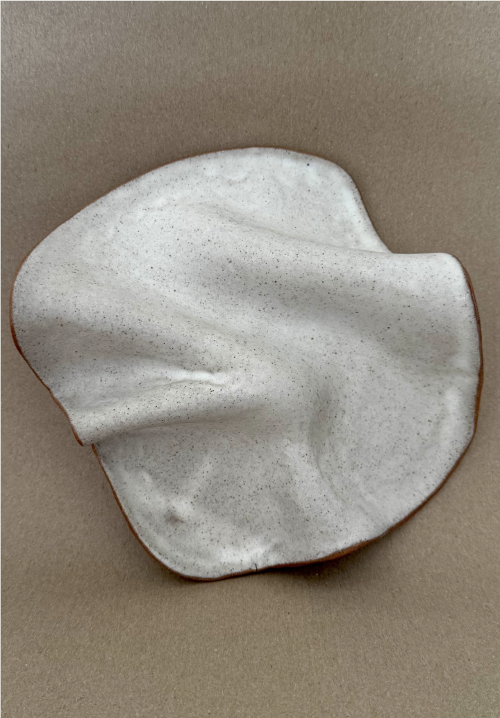 A ceramic plate with a soft, organic wavy edge and a speckled glaze